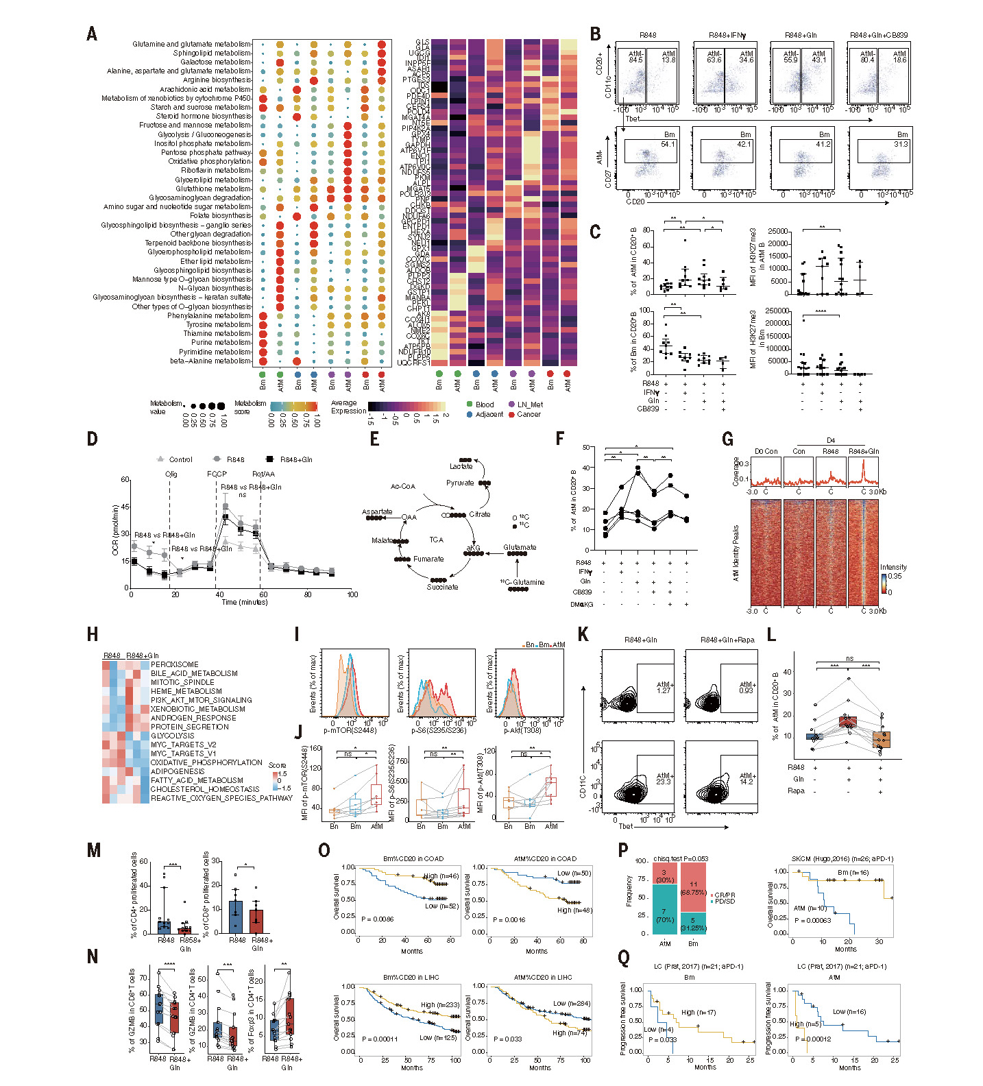 A blueprint for tumor-infiltrating B cells across human cancers_页面_12.jpg