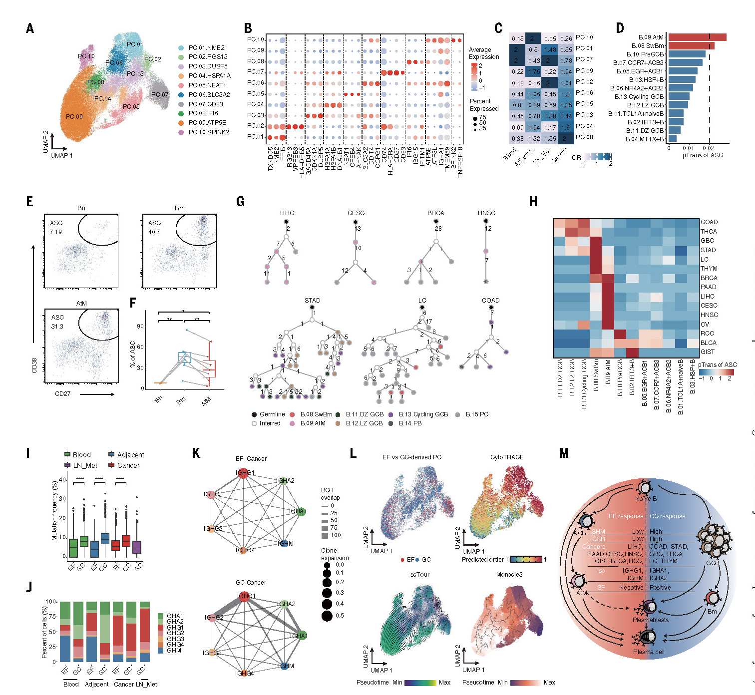 A blueprint for tumor-infiltrating B cells across human cancers_页面_05.jpg